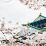 桜吹雪と大阪城🌸