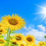 2025年の夏、堪能した夏