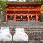 #犬じゃなくて猫です。(=^・^=)