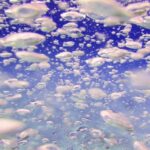 スキューバ講習完了しました!