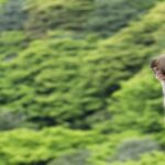 行ってみたい所(*´艸｀*)