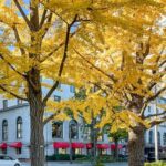 映画に迷い込んだような(*^^*)