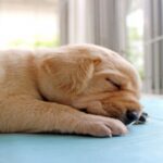 2026年今日からスタート!!