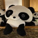 白浜で、冬の空気と一緒に味わったもの🌊